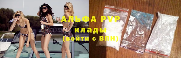 прущие грибы Волоколамск