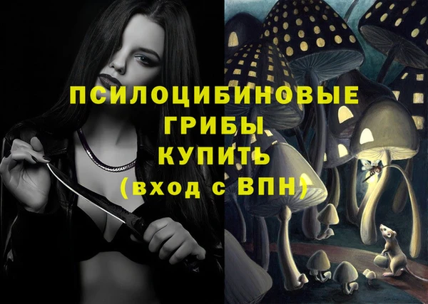 прущие грибы Волоколамск