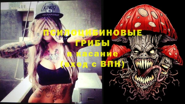дурь Вязьма